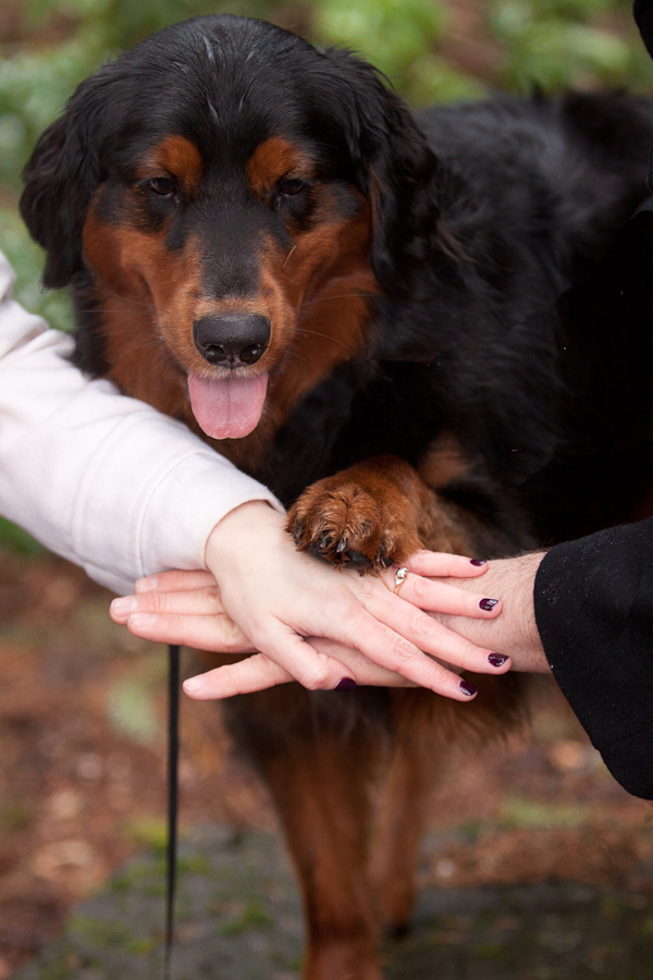 engagement photo with dog paw